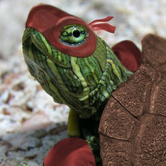 Мария Санадзе, 13.08, Москва