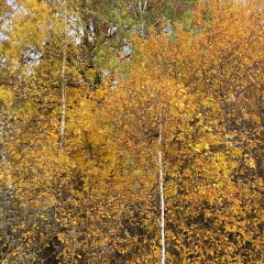 Ольга Бондаренко, 27.04, Москва