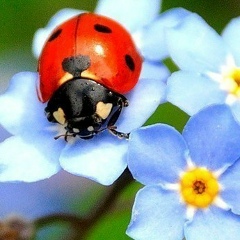 Маржан Утежанова, 09.05, Алматы