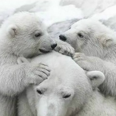 Максим Путятин, 19.04.1982, Белгород