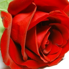 Хисаметдинова Гульшат, 23.11, Уфа