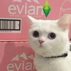 Малика Русламова, 11.07.2001, Бишкек