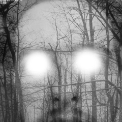 Андрей Базаотий, 15.04.1993