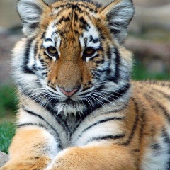 Магомед Юсупов, 22.08.1974, Москва