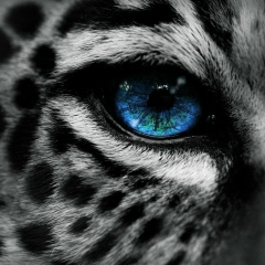 Владимир Кожевников, 08.06.1985, Орск