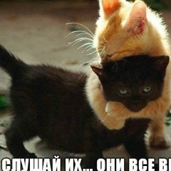 Мадьяра Великая, 09.03