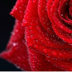 Алия Алдашева, 05.05.1983, Актобе