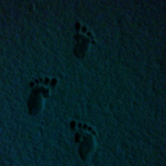 Саша Юрченко, 07.01.1986, Киев