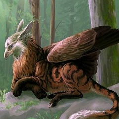 Юлия Горбатенко, 25.07, Донецк