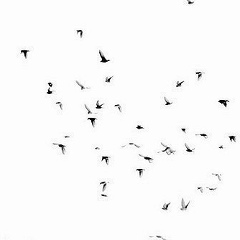 Виктор Ахлюстин, 26.04, Екатеринбург