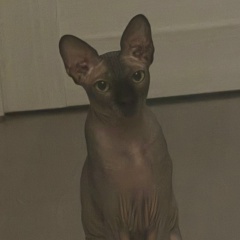 Александра Тронова, 15.08.1991, Самара