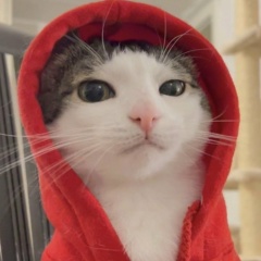 Артем Шкляр, Гаджиево