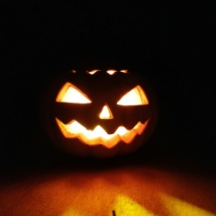 Anton Shorohov, Санкт-Петербург