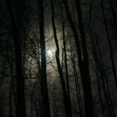 Александр Полунин, 18.05, Москва