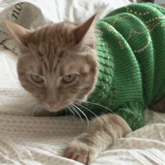 Сергей Картамышев, 25.05.1985, Москва