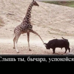 Абзал Утебаев, 13.12, Алматы