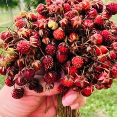 Наталья Шавкун, 01.06, Ханты-Мансийск