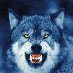 Андрей Сургутанов, 20.04, Курчатов