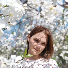 Светлана Апанасенко, Санкт-Петербург
