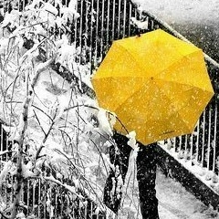 Ekaterina Baumann, 24.07