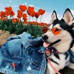 Нина Прокопенко, 11.10.1995, Санкт-Петербург