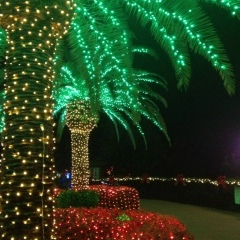 Анна Терешкина, 21.03.1982, Санкт-Петербург