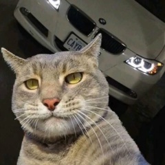 Alexander Knyazev, 16.10, Уфа