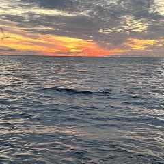 Полинка Байзина, 12.03.1989, Москва