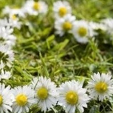 Зуля Аеткалеева, 05.08