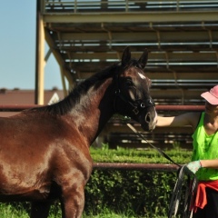 Екатерина Бурдович, 18.04, Ростов-на-Дону