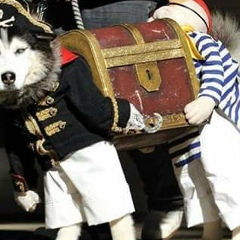 Paulo Francisco, 17.05.1996