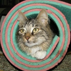 Лёха Фадеев, 02.07, Москва