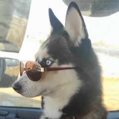 Алексей Ларионов, 12.07, Красная Звезда