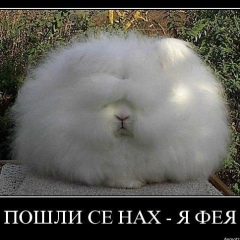 Владимир Петров, 06.11.1983, Санкт-Петербург