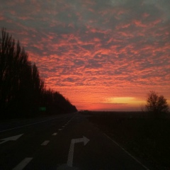 Денис Давыдов, 18.10.1983, Wrocław