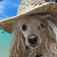 Андрей Горев, 14.06, Санкт-Петербург