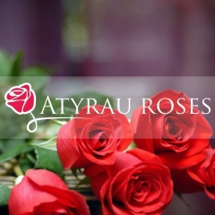 Роза Атырау, 27.01, Атырау