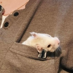 Наталья Одинцова, Екатеринбург