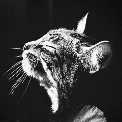 Фанис Габдуллин, 24.11, Ижевск