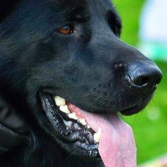 Oksana Yan Berg, 07.12, Санкт-Петербург