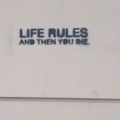 Александр Кришнев, 28.09.1984, Санкт-Петербург