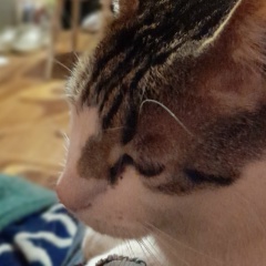 Сергей Петухов, 10.09, Санкт-Петербург