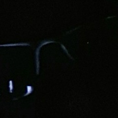 Romel Ht, 17.06, Nova Aurora