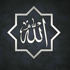 Эльвин Гашимов, 27.04, Москва