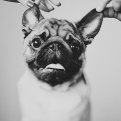 Владимир Арбузов, 07.09