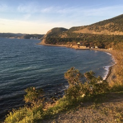 Наталья Димина, 03.10, Сочи