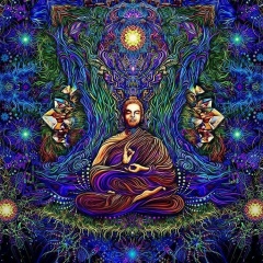 Евгений Черных, 29.02.1988, Санкт-Петербург