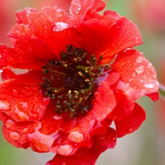 Лилия Федорова