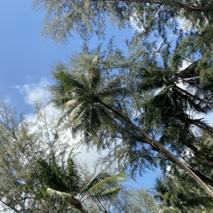 Rest Rest, 06.02, Москва