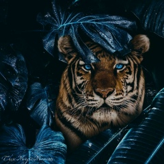 Мария Поварницына, 08.05, Москва